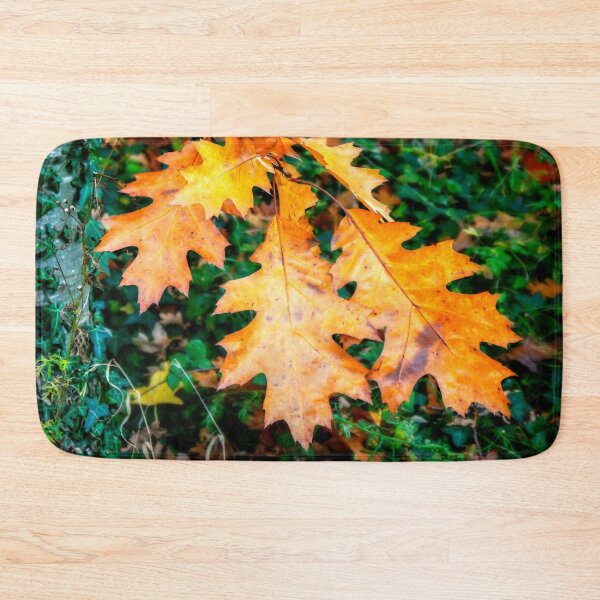 Item preview, Seasonal Colour designed and sold by ScenicViewPics.