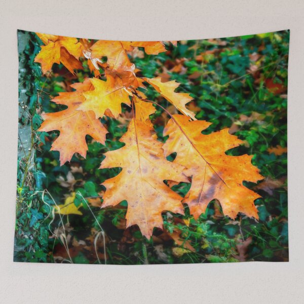 Item preview, Seasonal Colour designed and sold by ScenicViewPics.