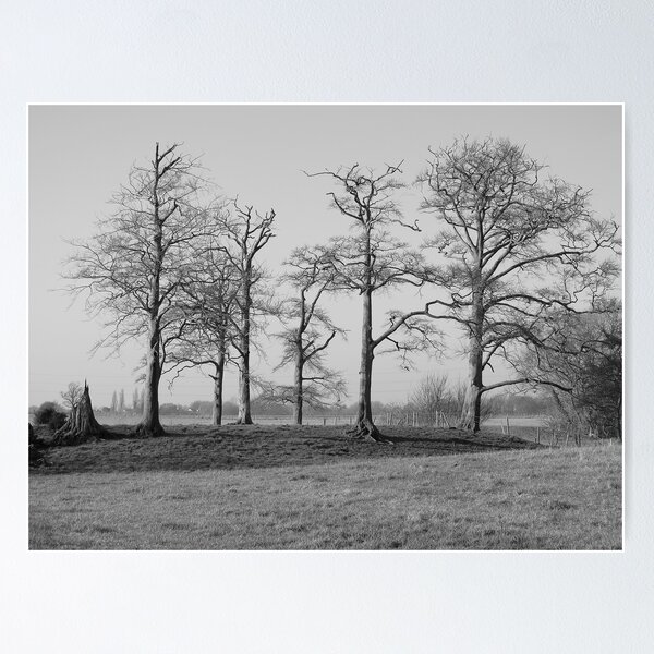 Item preview, Stillness.. designed and sold by NaturesTouch.