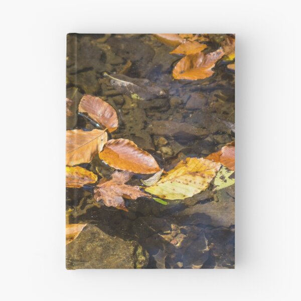 Item preview, Fall Leaves Floating designed and sold by mljdwhite.