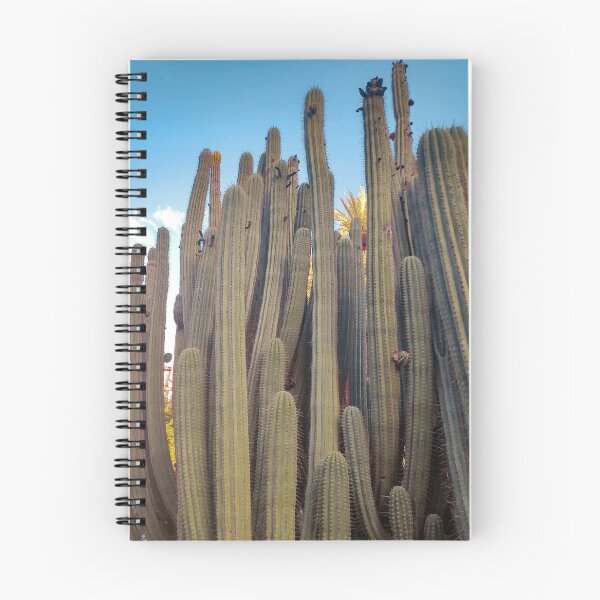 Item preview, Tall cacti designed and sold by Batiskafoo.