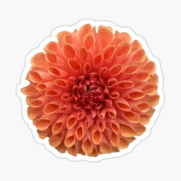 Item preview, Pretty dahlia designed and sold by BigLoro.