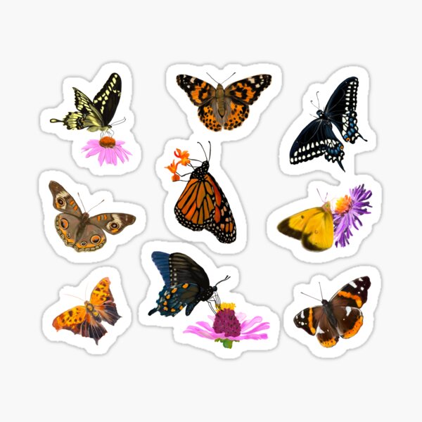 Butterfly Collection Sticker
