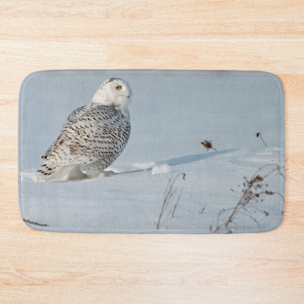 Aperçu de l'œuvre Snowy Owl créée et vendue par Owl-Images.