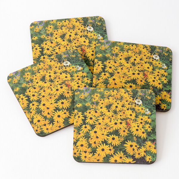 Item preview, black eyed susans photo designed and sold by Fiveladiesart.