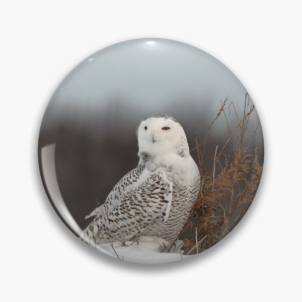 Item preview, Snowy Owl designed and sold by Owl-Images.