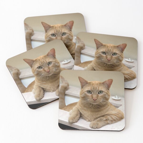 Item preview, Orange Tabby Cat Sitting in the Sink designed and sold by pixelmountain.
