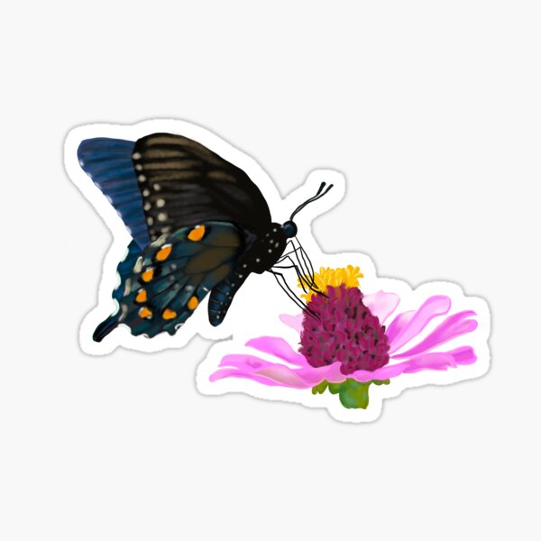 Pipevine Swallowtail Butterfly Sticker