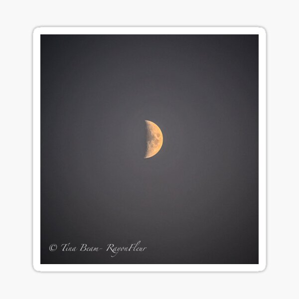 Item preview, First Quarter Moon designed and sold by RayonFleur.