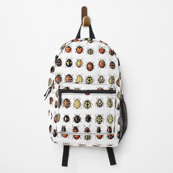 Item preview, Curiosities, Vintage Beetle Illustration Specimens designed and sold by KGBird.