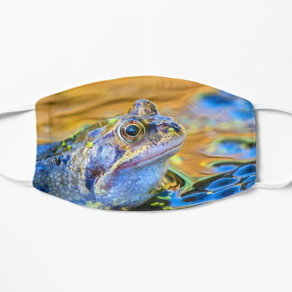 Fantastic Mr Froggy Flat Mask
