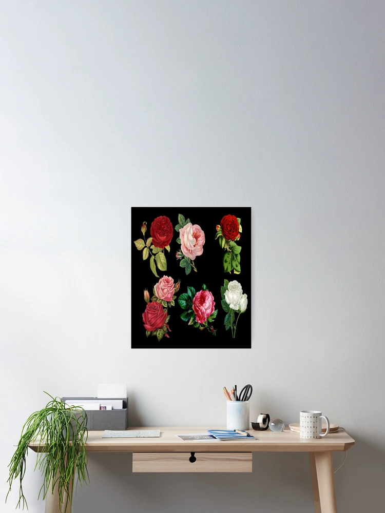 Thumbnail 2 of 3, Poster, Several Roses designed and sold by customgiftstore.