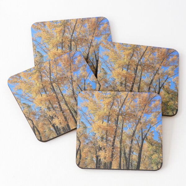 Item preview, Aspen forest designed and sold by zumi.