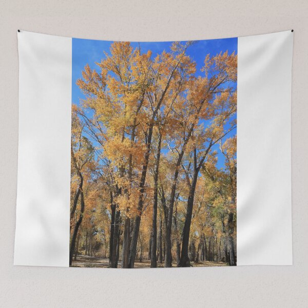 Item preview, Aspen forest designed and sold by zumi.