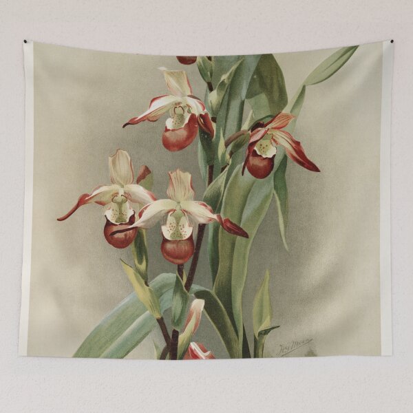 Item preview, Reichenbachia: Orchids Illustrated and Described designed and sold by EsotericBotanic.