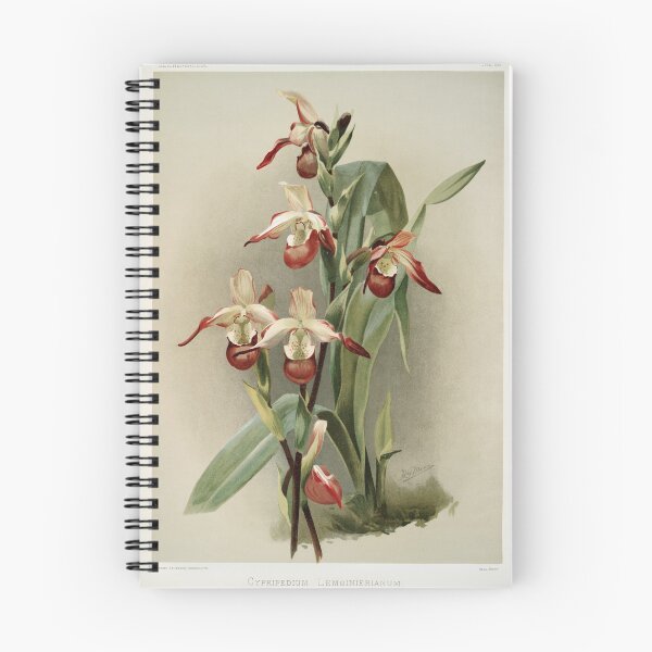 Item preview, Reichenbachia: Orchids Illustrated and Described designed and sold by EsotericBotanic.