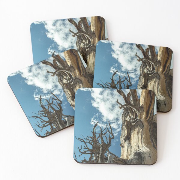 Item preview, Tree Sky Background designed and sold by Ricardo Landeros.