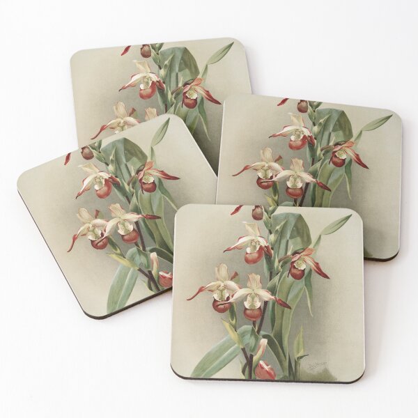 Item preview, Reichenbachia: Orchids Illustrated and Described designed and sold by EsotericBotanic.