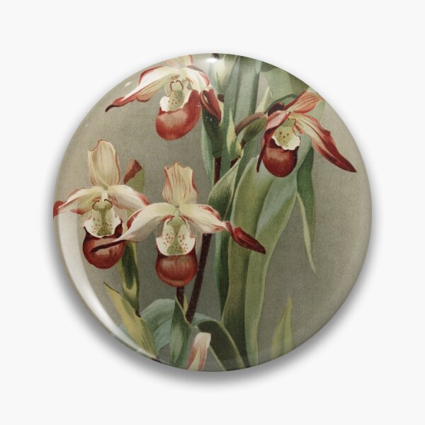 Item preview, Reichenbachia: Orchids Illustrated and Described designed and sold by EsotericBotanic.