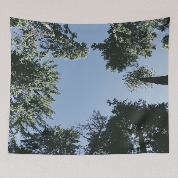 Item preview, forest sky designed and sold by LifeAsGeneration Z.