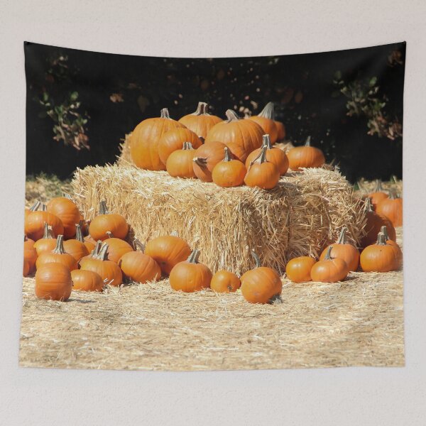 Item preview, Pumpkin Collection designed and sold by heatherfriedman.