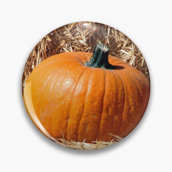 Item preview, Pumpkin Waiting designed and sold by heatherfriedman.