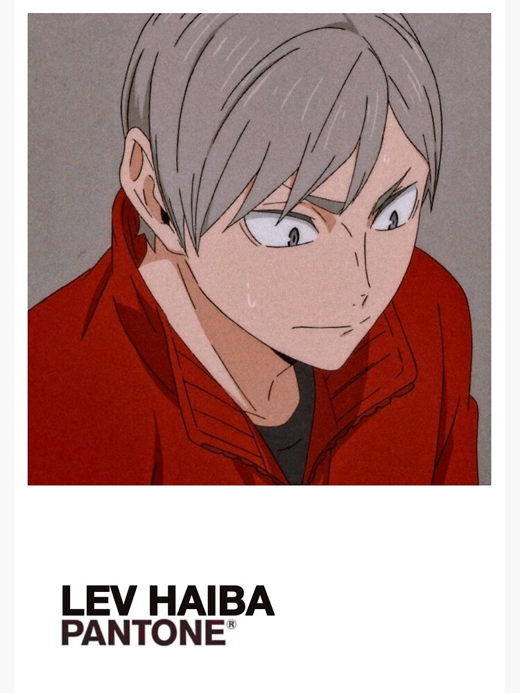 lev haiba merch