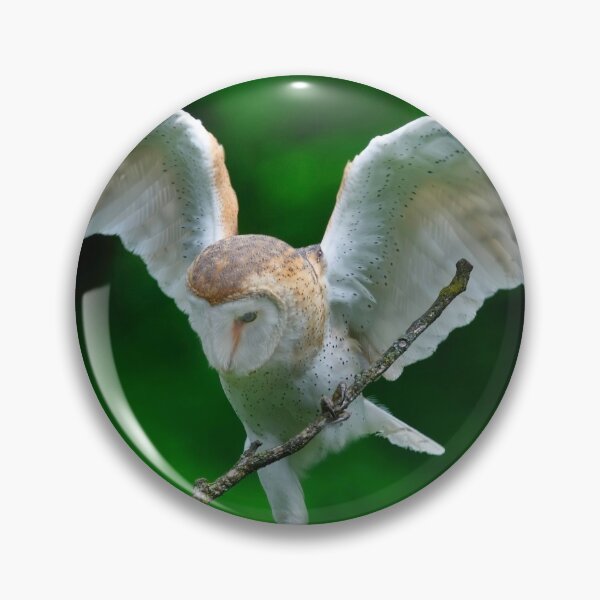 Item preview, Barn Owl designed and sold by Cycroft.