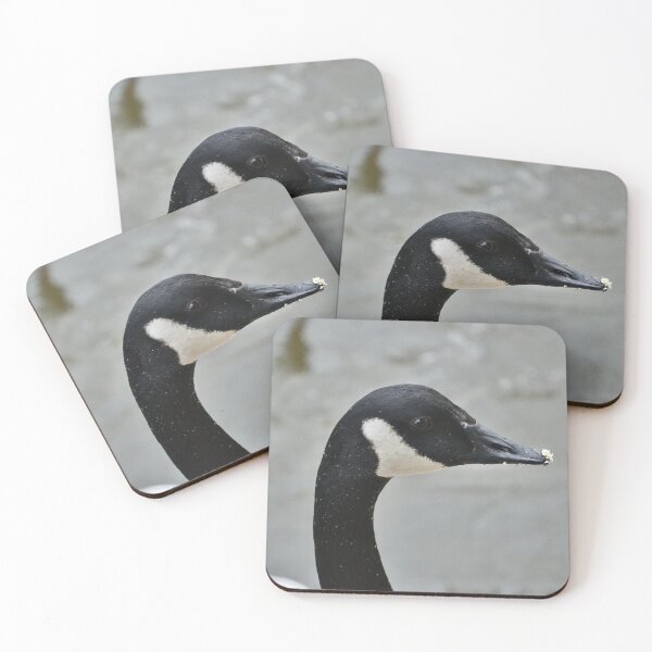 Artikelvorschau, Eine Schwarz-Weiß-Gans (Kanada) entworfen und verkauft von thelemmingface.