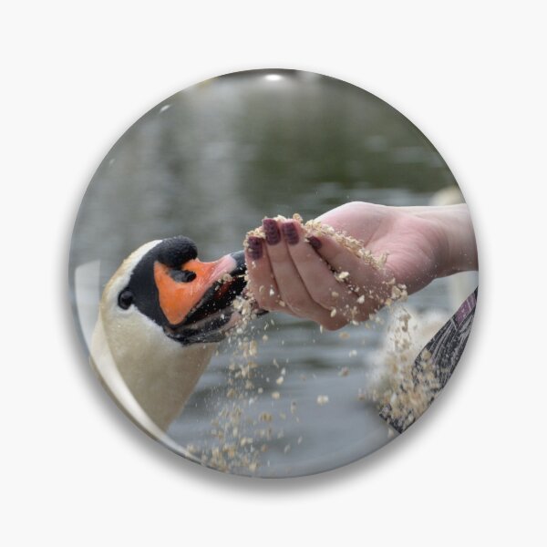 Item preview, Feeding A Swan designed and sold by thelemmingface.