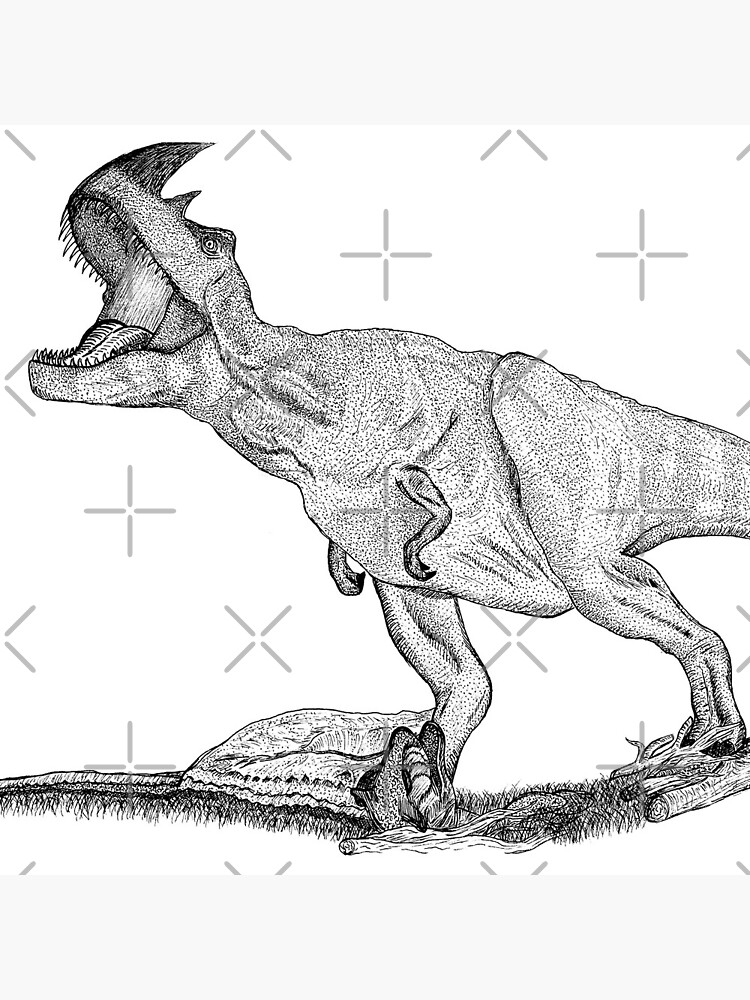 "Horned Theropod" Coasters (Set of 4) for Sale by Zody1 Redbubble