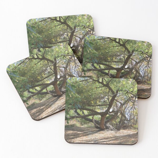 Item preview, Great Climbing Tree designed and sold by Diane Arndt.