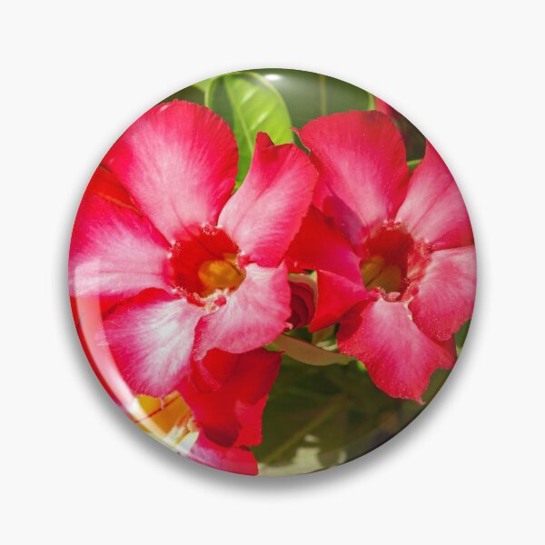 Item preview, Desert Rose Blooming In The Arabian Desert designed and sold by Mano Chandra Dhas.