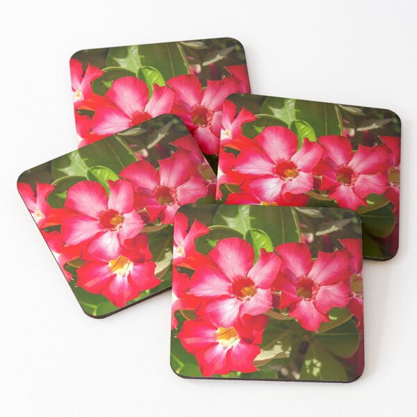 Item preview, Desert Rose Blooming In The Arabian Desert designed and sold by Mano Chandra Dhas.