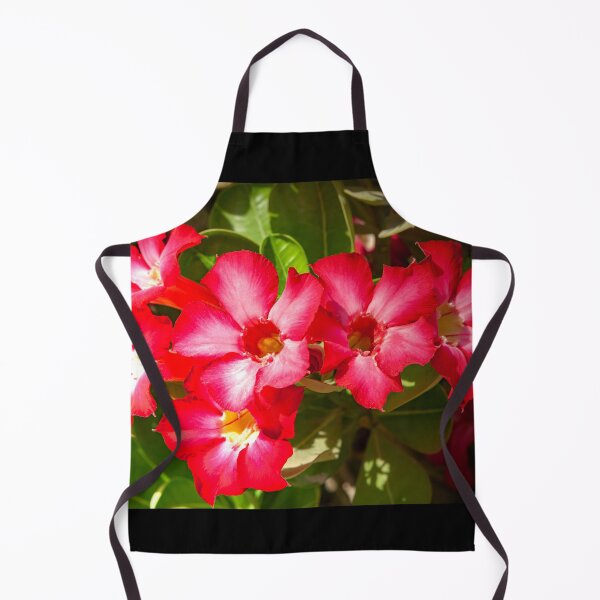 Item preview, Desert Rose Blooming In The Arabian Desert designed and sold by Mano Chandra Dhas.