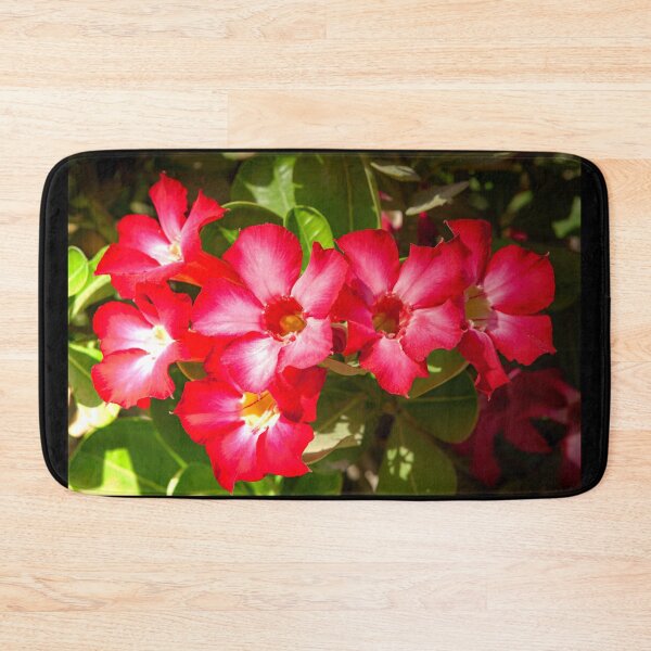 Item preview, Desert Rose Blooming In The Arabian Desert designed and sold by Mano Chandra Dhas.