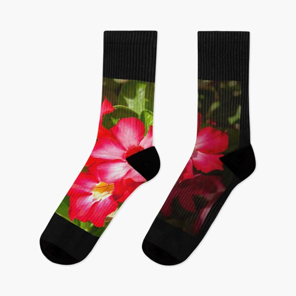 Item preview, Desert Rose Blooming In The Arabian Desert designed and sold by Mano Chandra Dhas.