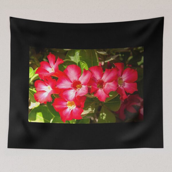 Item preview, Desert Rose Blooming In The Arabian Desert designed and sold by Mano Chandra Dhas.