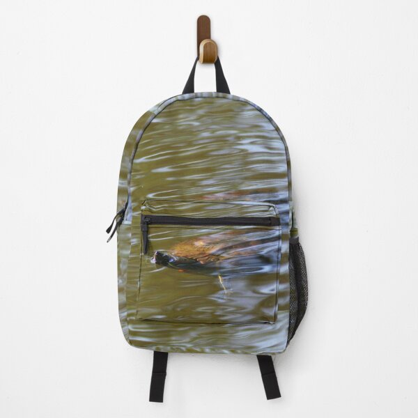Item preview, turtle swimming at Trojan pond, near Goble, Oregon designed and sold by Dawna Morton.