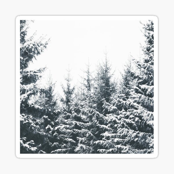 Item preview, In Winter // Misty Moody Foggy Milky Woods Wonderland Forest With Cascadia Trees Covered In Snow designed and sold by Tordis Kayma.