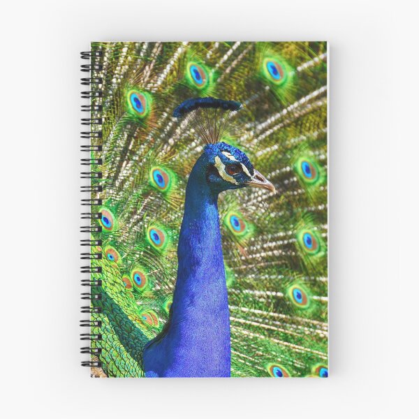 Artikelvorschau, Bright Peacock Feathers Design - Vögel, Vogelliebhaber, Federn, Pfauenmuster, Vogelgeschenk, Tierdruck entworfen und verkauft von GOdesign26.