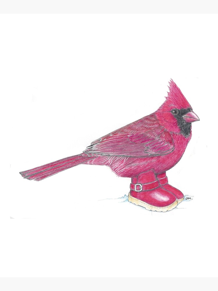 Thumbnail 6 of 6, Mounted Print, Cardinal in Snow Boots designed and sold by JimsBirds.