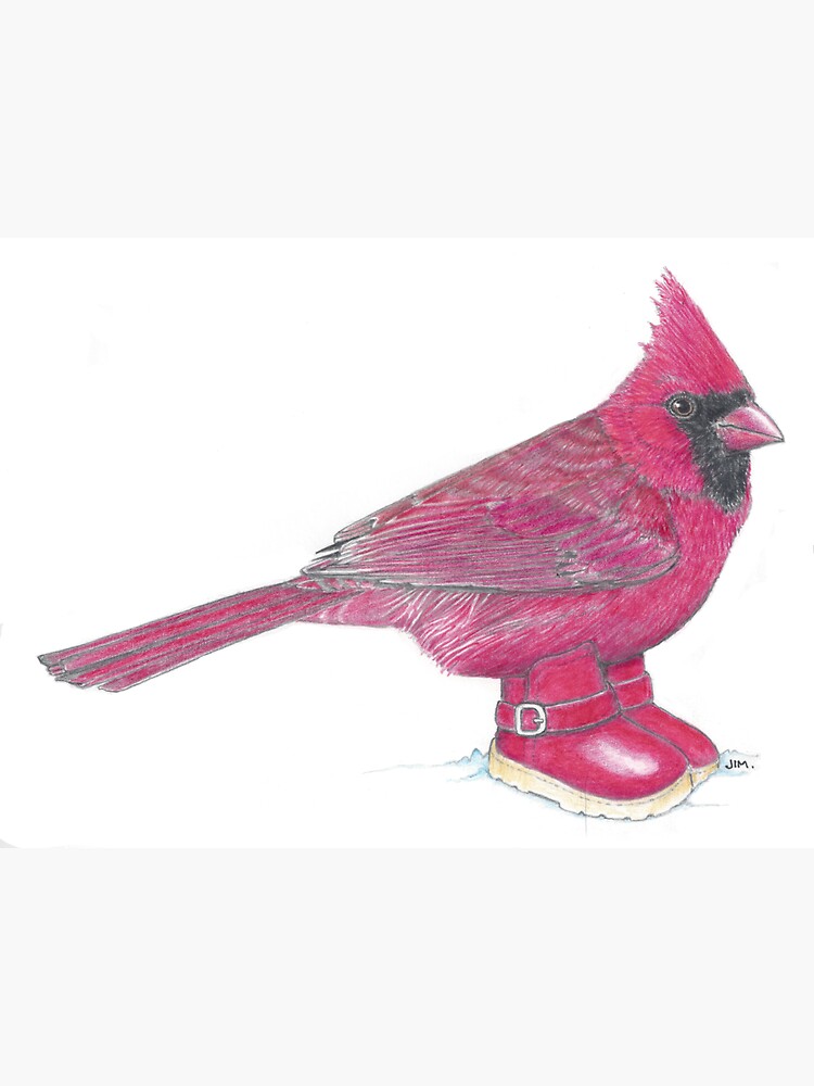 Thumbnail 3 of 3, Sticker, Cardinal in Snow Boots designed and sold by JimsBirds.