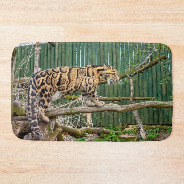 Item preview, Clouded leopard designed and sold by Dalyndigital Photography.