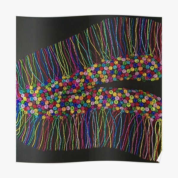 Fragile Memory Poster