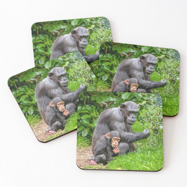 Item preview, Chimpanzee and her baby designed and sold by Dalyndigital Photography.