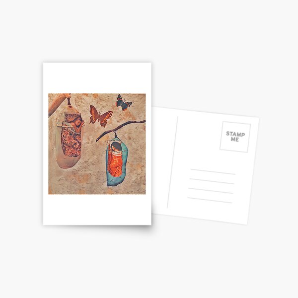 Cocoons Postcard