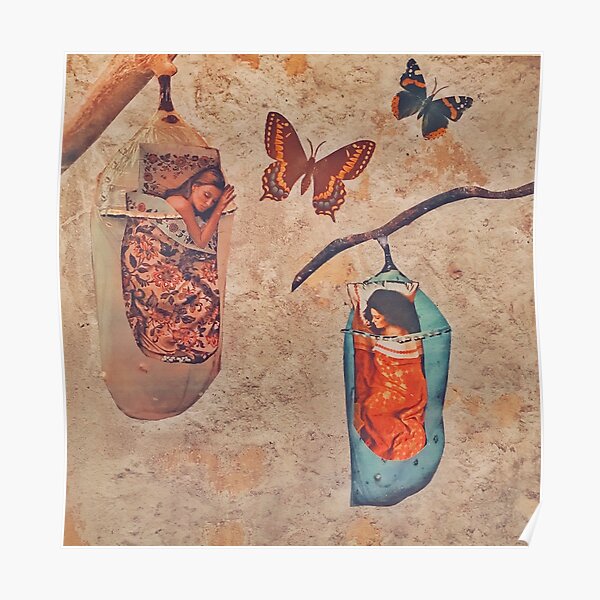 Cocoons Poster