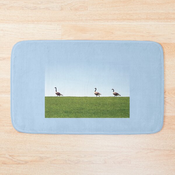 Item preview, Three Canada Geese in a Row designed and sold by pixelmountain.