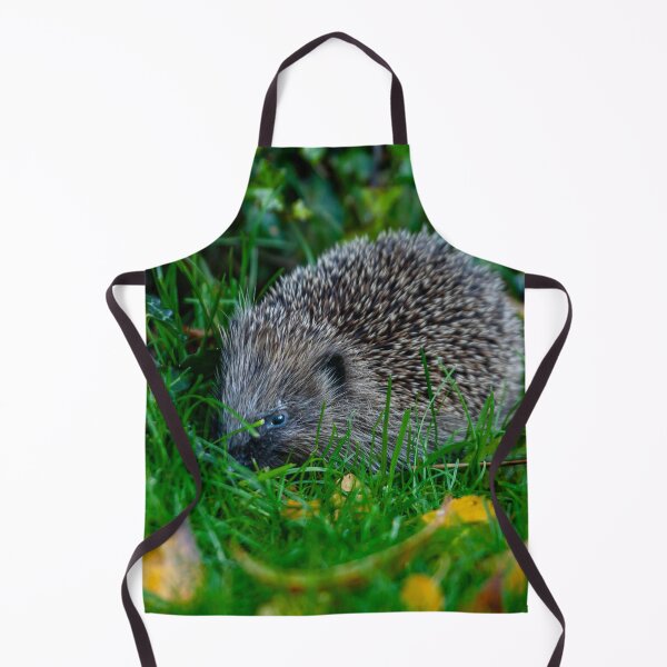 Item preview, Mrs Prickles the hedgehog looking in the grass designed and sold by Dalyndigital Photography.